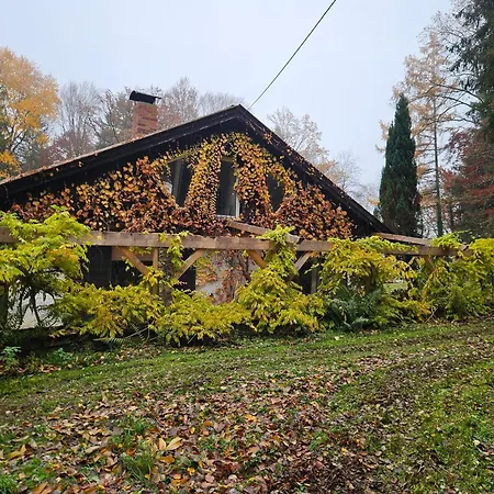 Traumhaus Im Wald * توتزينغ
