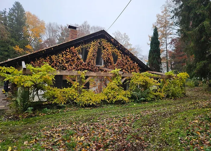 Traumhaus Im Wald * توتزينغ